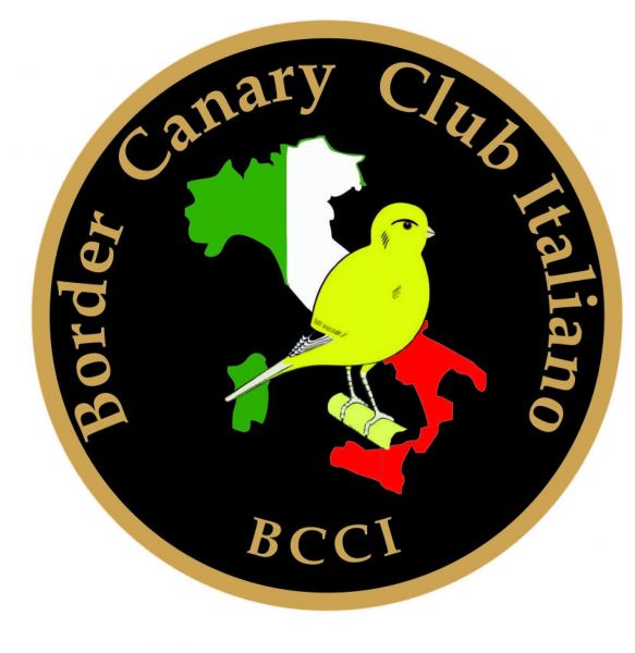 Canarini di Forma e Posizione Lisci Club di Specializzazione F.O.I